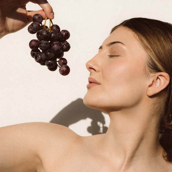 Grape seed extract (OPC) 