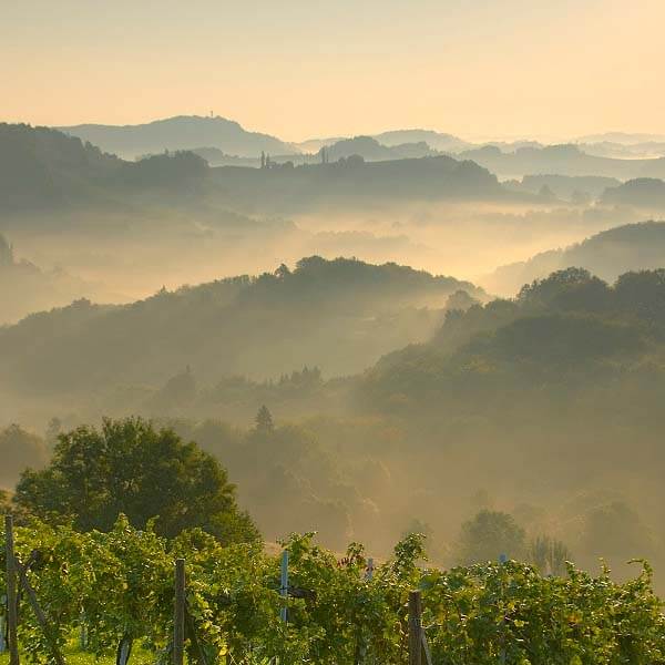 Natural cosmetics from Austria – handcrafted with passion