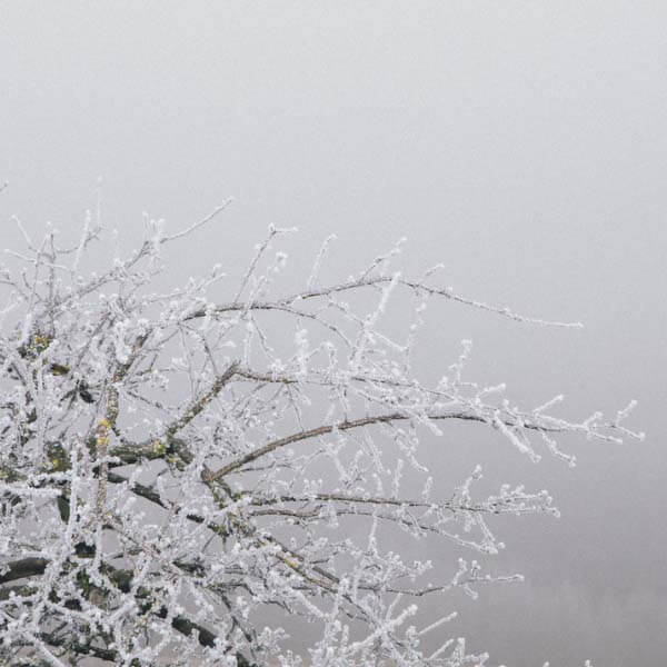 Hautpflege im Winter 